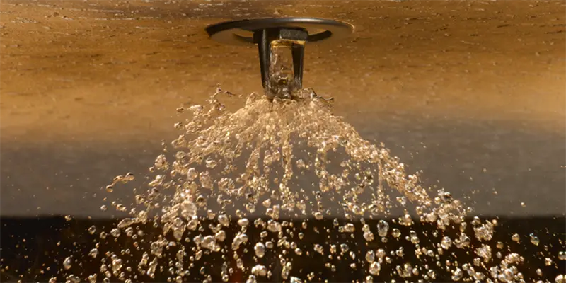 Active sprinkler head spraying water