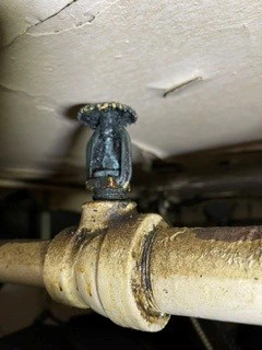 Dirty Sprinkler Head 2