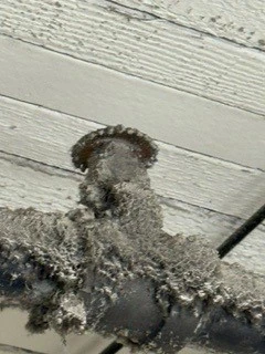 Dirty Sprinkler Head 3