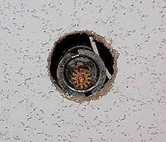 Sprinkler head missing escutcheon