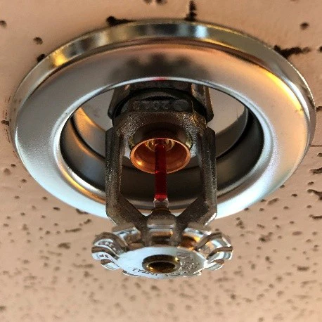 Sprinkler head