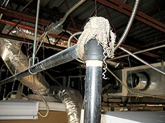 Sprinkler system shut off valve