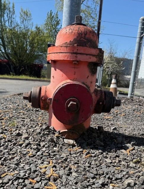 Buried fire hydrant