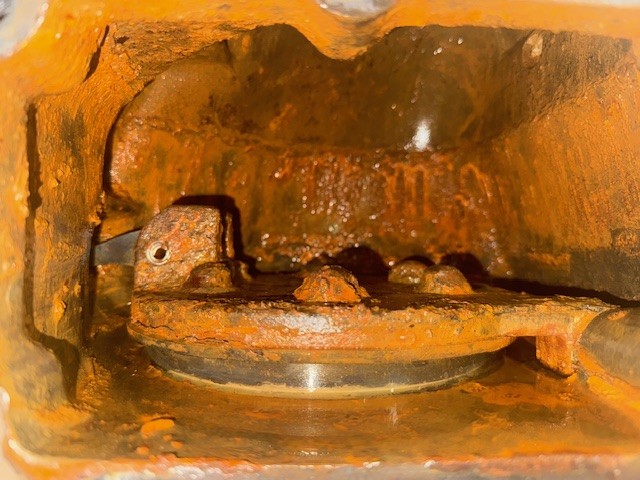 Dirty sprinkler pipe