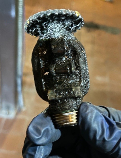 Dirty sprinkler head