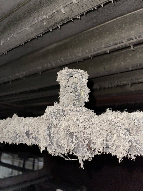 Dusty sprinkler head