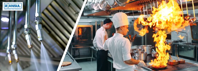 Ansul Fire Suppression System