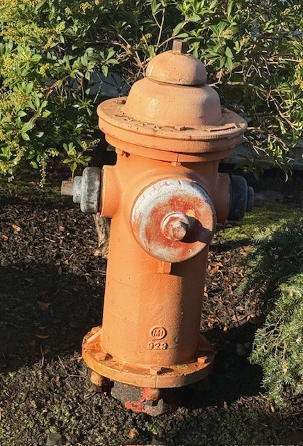 Orange fire hydrant