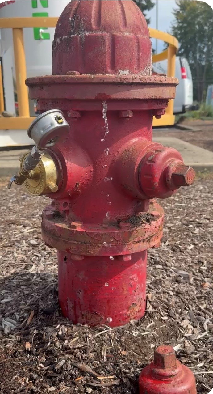 Dripping fire hydrant