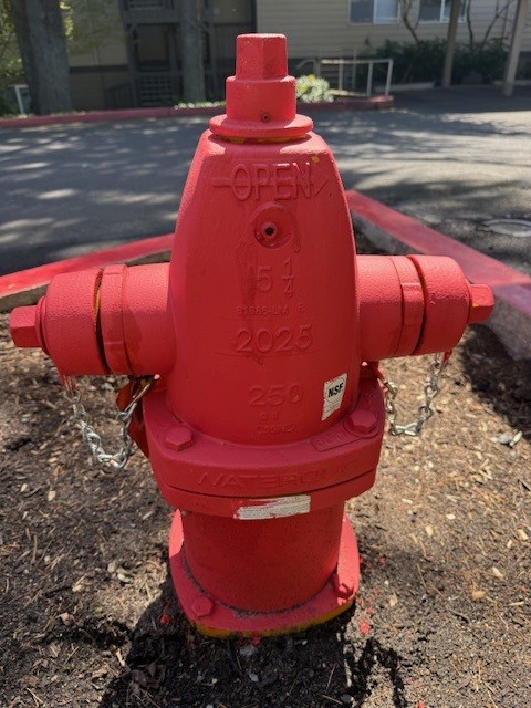 New red fire hydrant